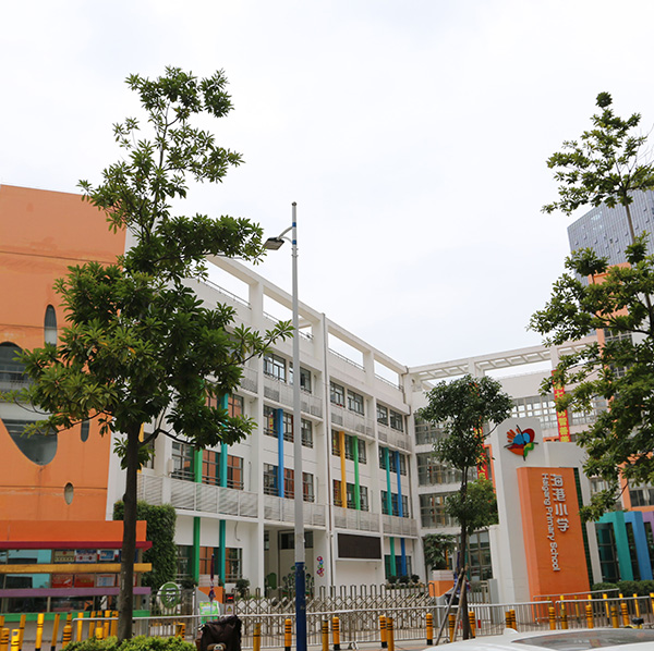 海港小学